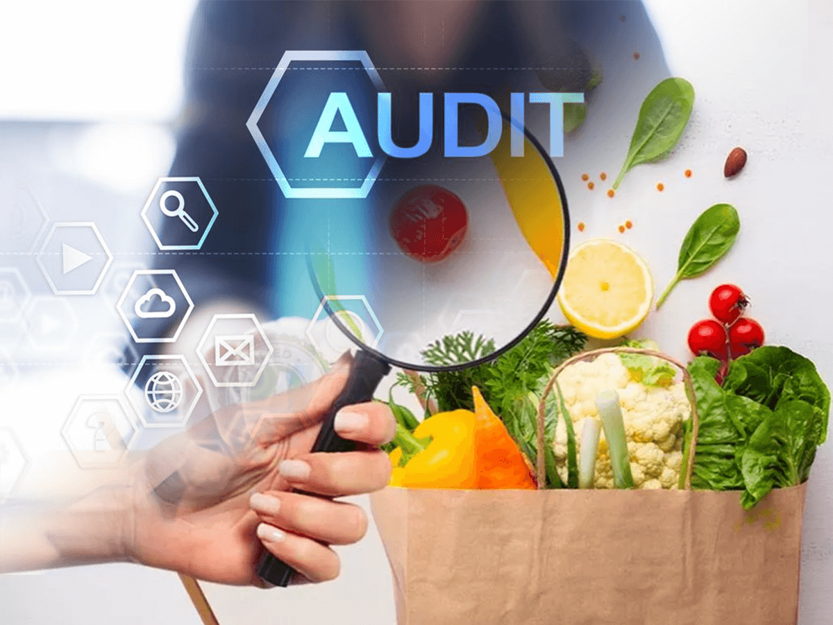 What Is Food Safety and Sanitation Audit?