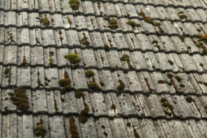 Everything You Need to Know About Hail Damage to Your Roof